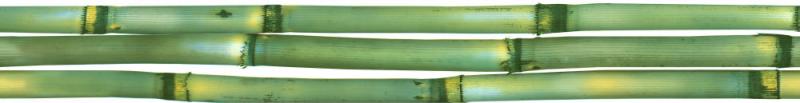  Canas De Bambu Listwa B