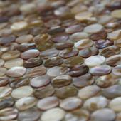 Ceramic Mosaic Shell Mosaic